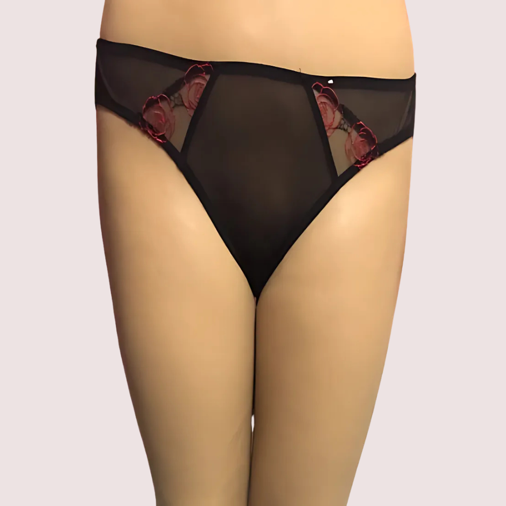 Netted Sexy Keyhole Back Hipster Panty